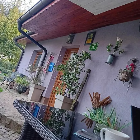 Thea Arts Ljubljana Ostanak kod kuće Mrse