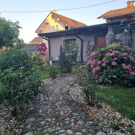 Ostanak kod kuće Thea Arts Ljubljana Mrse