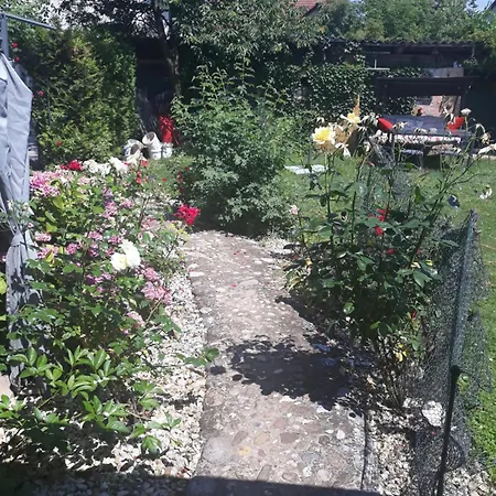 Ostanak kod kuće Thea Arts Ljubljana Mrse